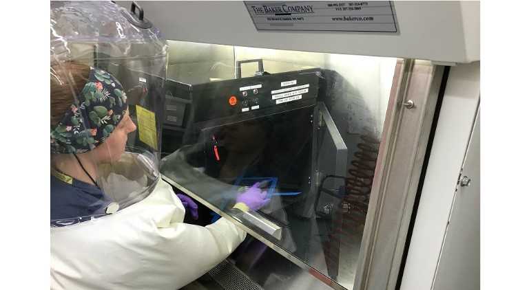 Boston University validates Signify’s UV-C light for coronavirus deactivation