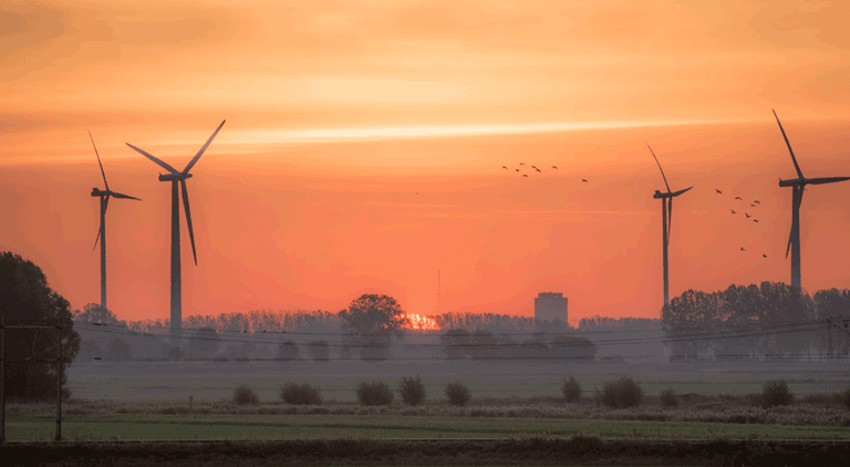 A significant drop in Indian wind resource and wind farm production explained by ArcVera