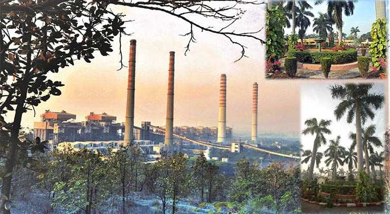 Highest PLF recorded at Singraudi oldest unit of NTPC