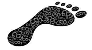 Carbon-Footprint
