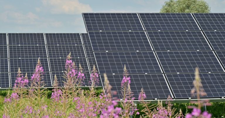 Delivering technology-enabled one-stop solutions to solar industry