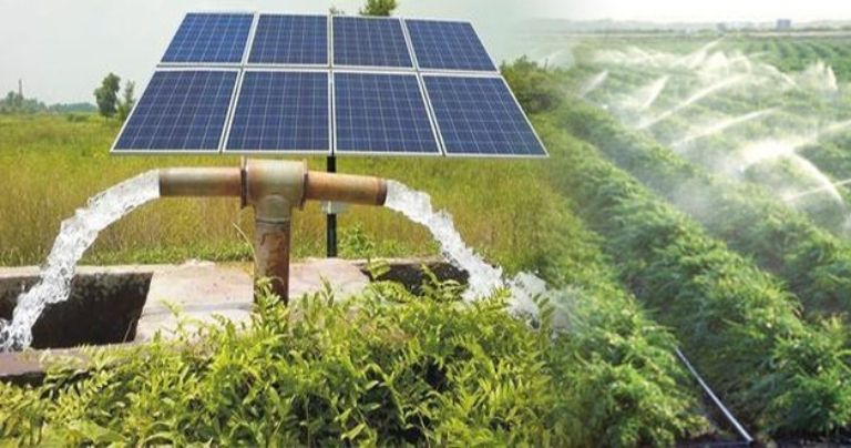 Building a sustainable ecosystem in India with solar PV