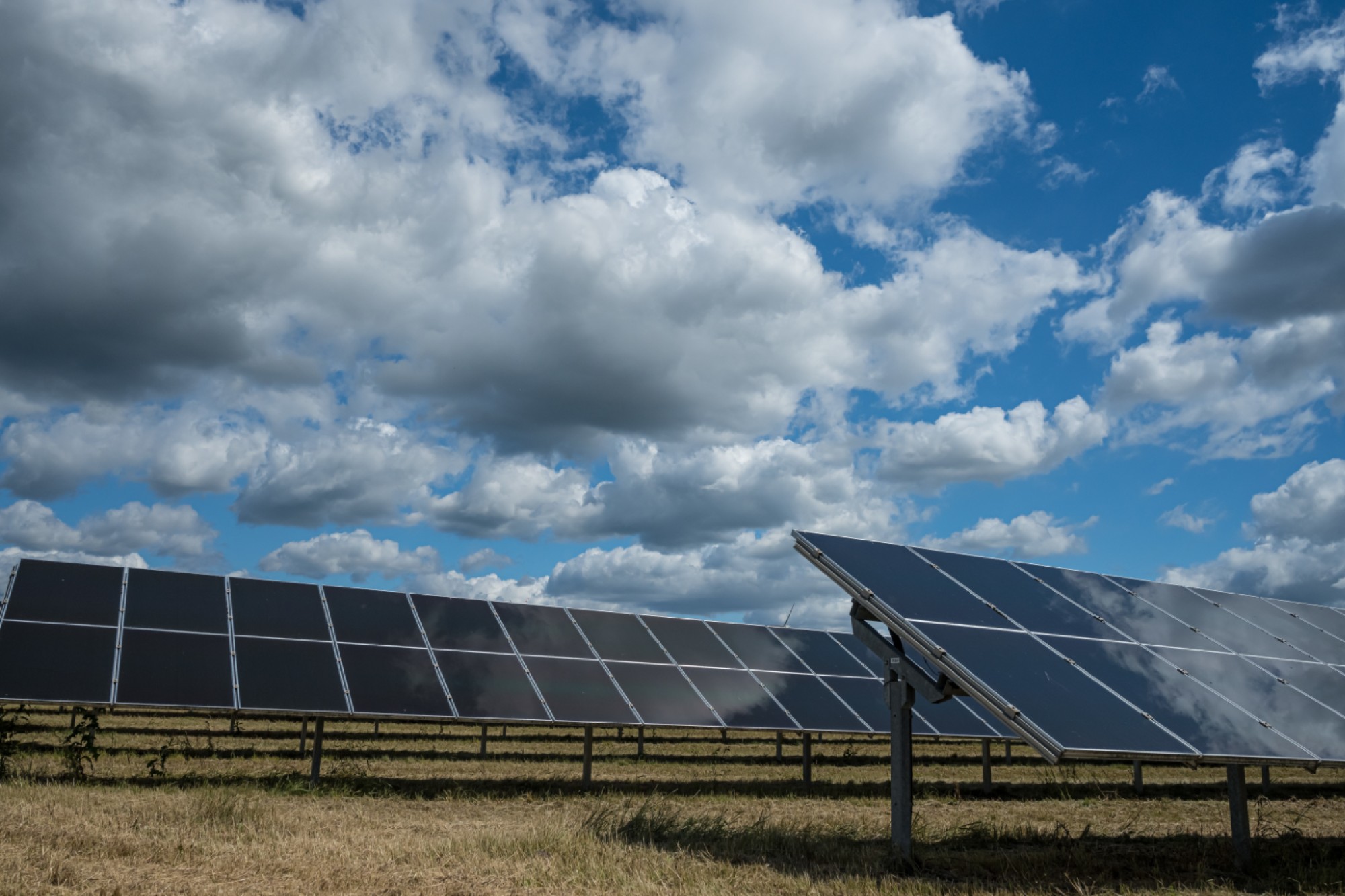 TPREL commissions groundbreaking bifacial solar project at Asia’s largest tea estate