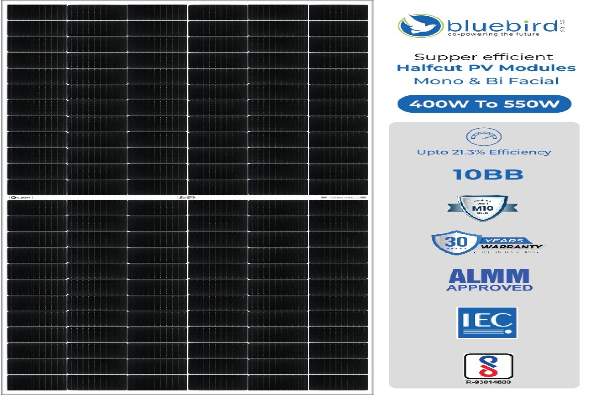 Bluebird Solar introduces M10 half-cut PV modules