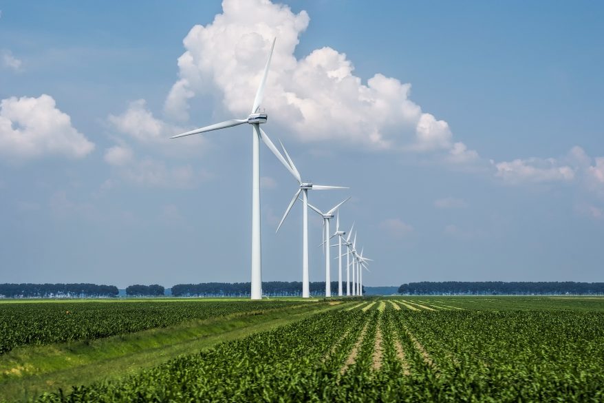 The Global Wind Day pre-event conference highlights the potential of Odisha in renewable energy