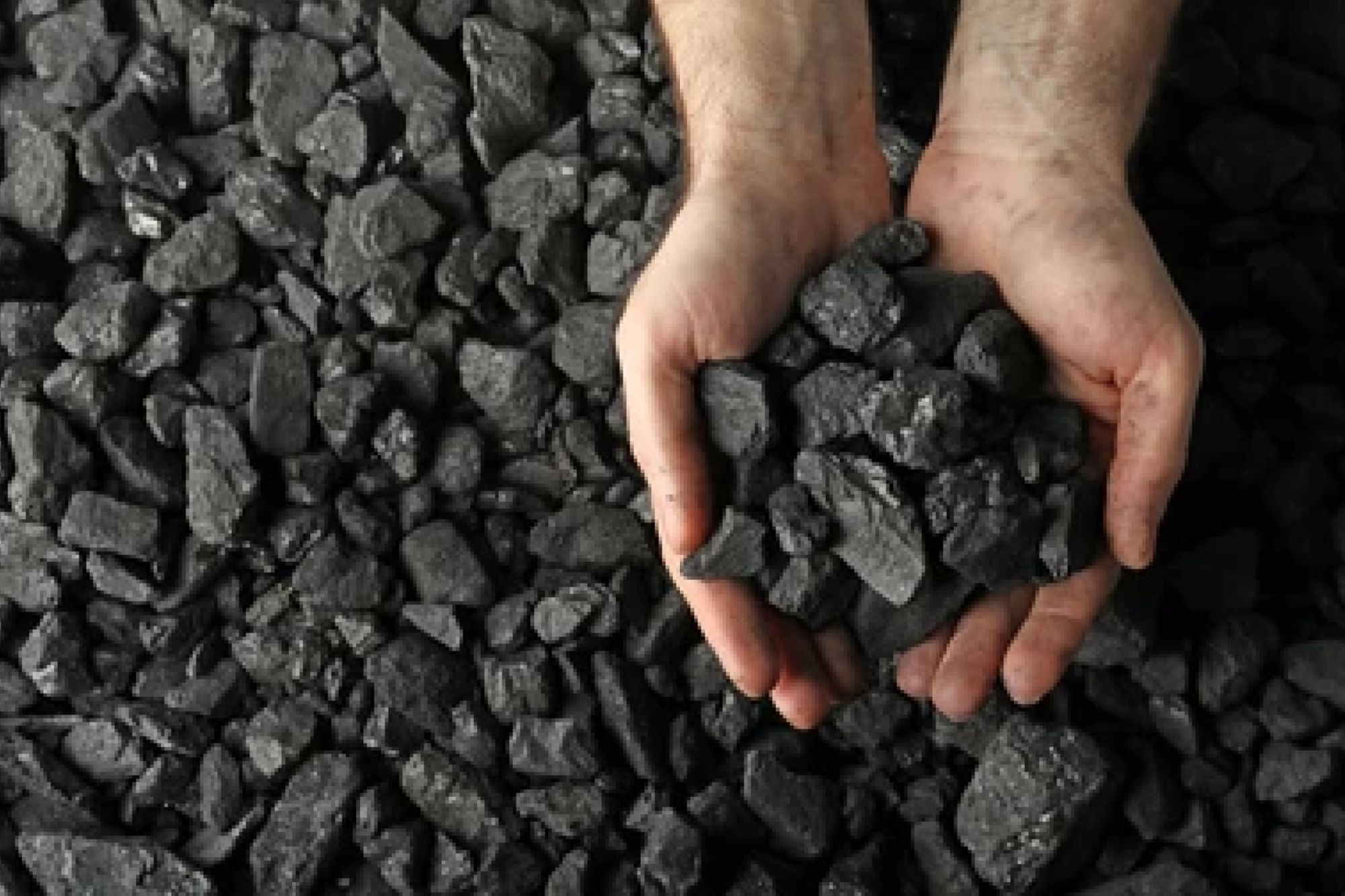 NTPC sets 40 MMT coal production from captive mines this fiscal