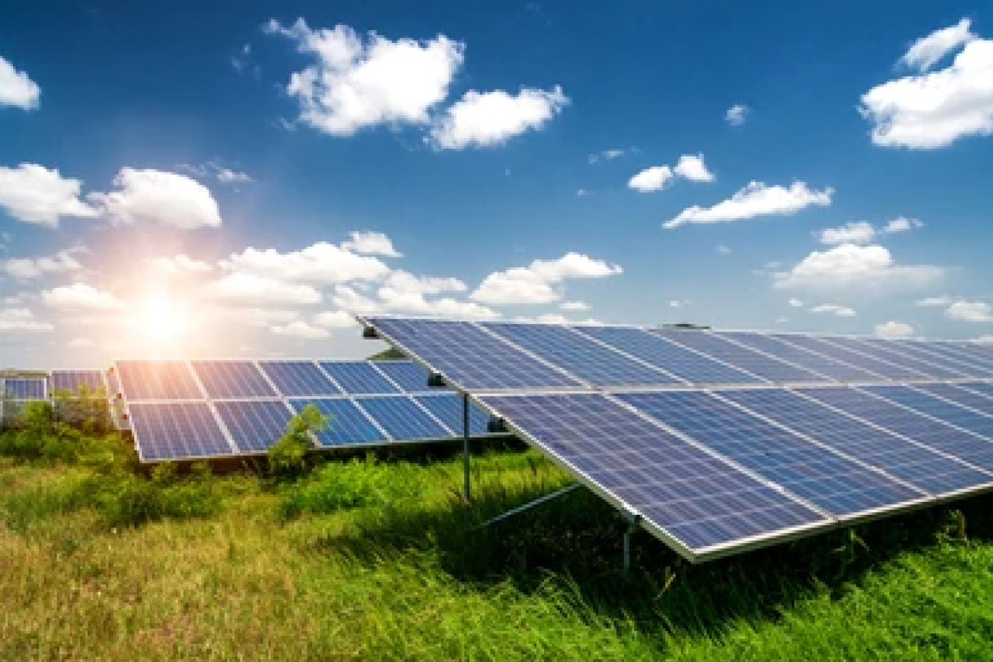 Waaree Energies signs 220MW solar module deal with Sprng Energy for Gujarat project