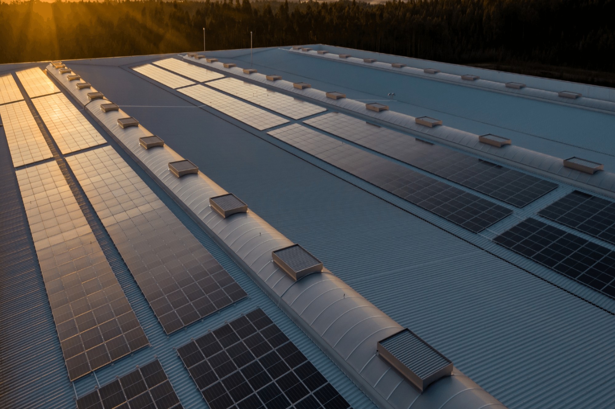 Gensol Engineering appoints Shilpa Urhekar as CEO of Solar EPC (India)