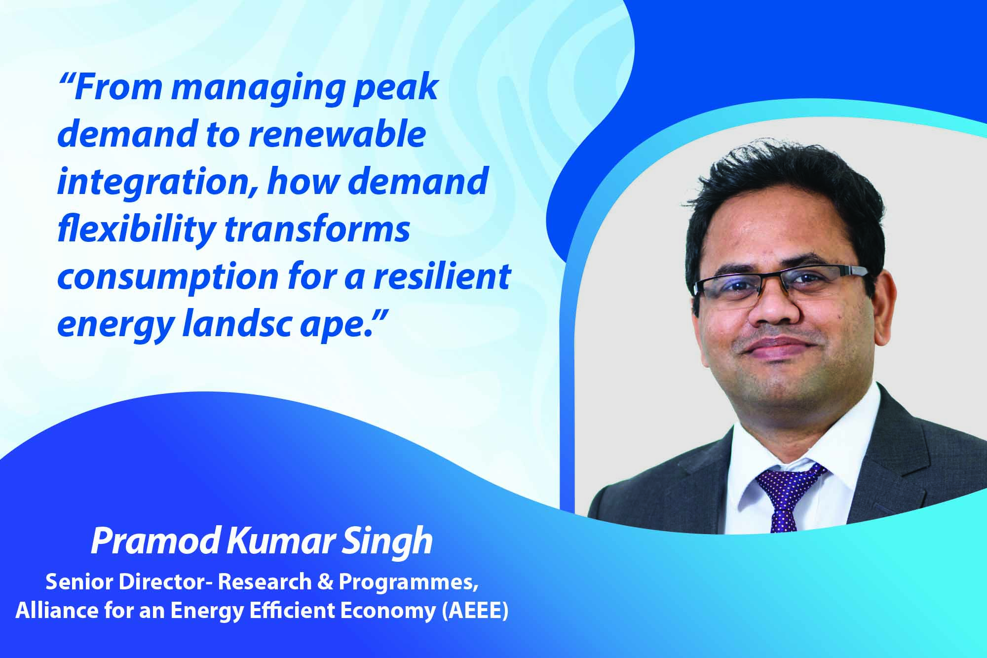 Unlocking the power of demand flexibility for a greener energy future