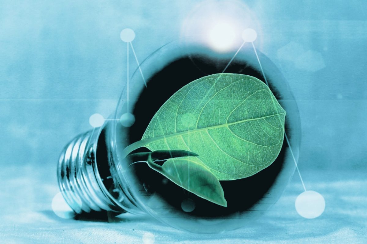 Honeywell & SGP Bioenergy to develop plant-based biochemicals