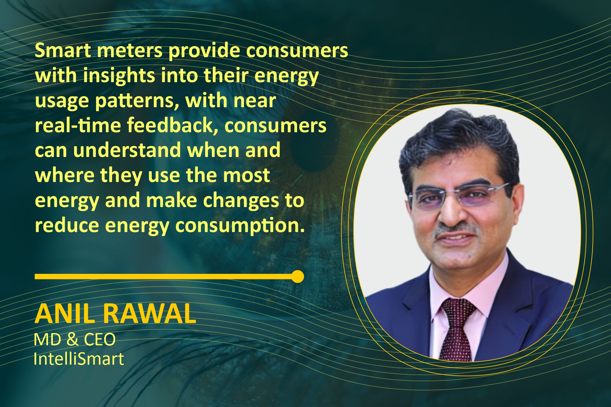 With smart meters, consumers finally have a voice in the grid