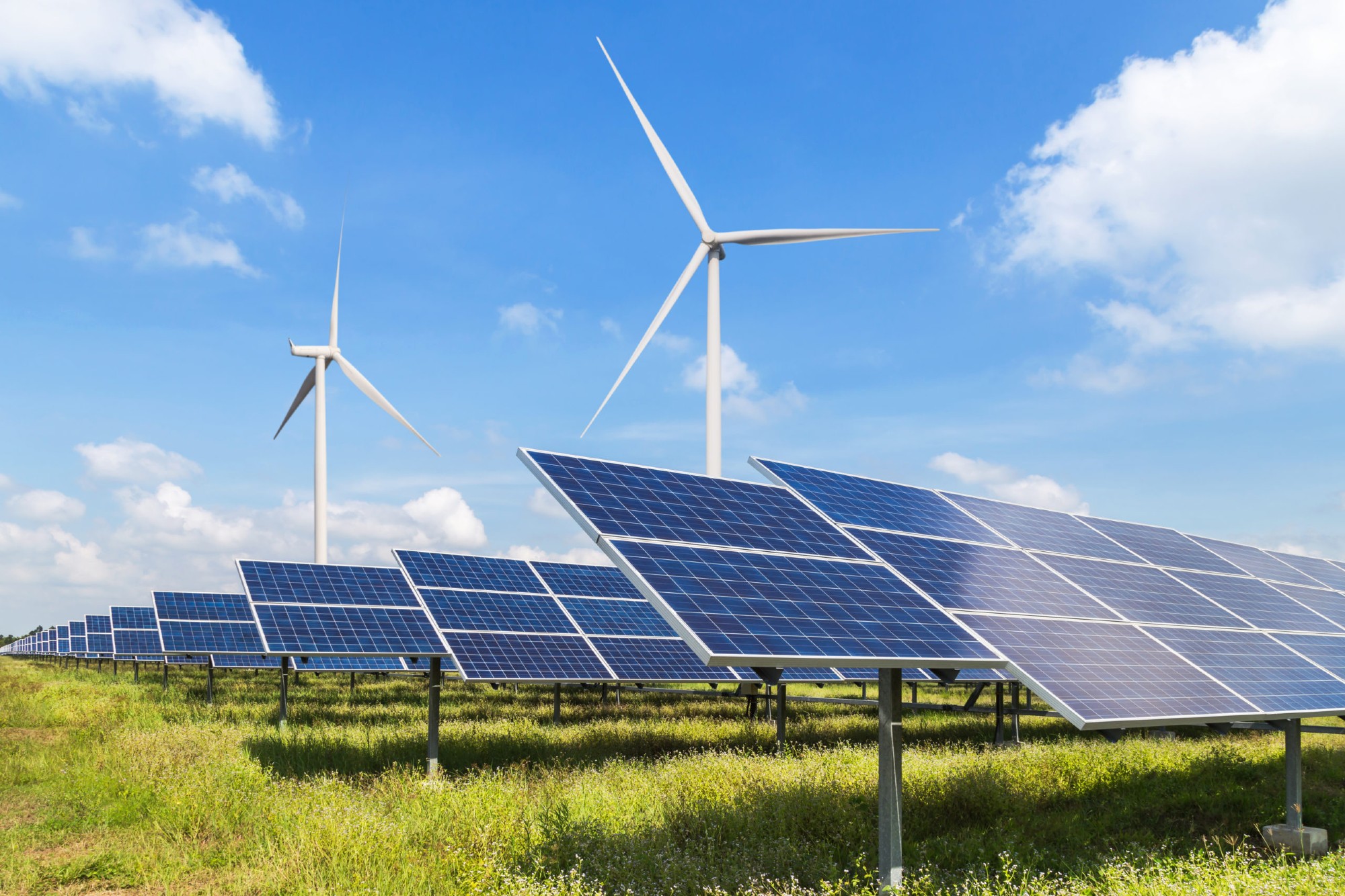 India renewable energy capacity reaches record high in FY 24-25