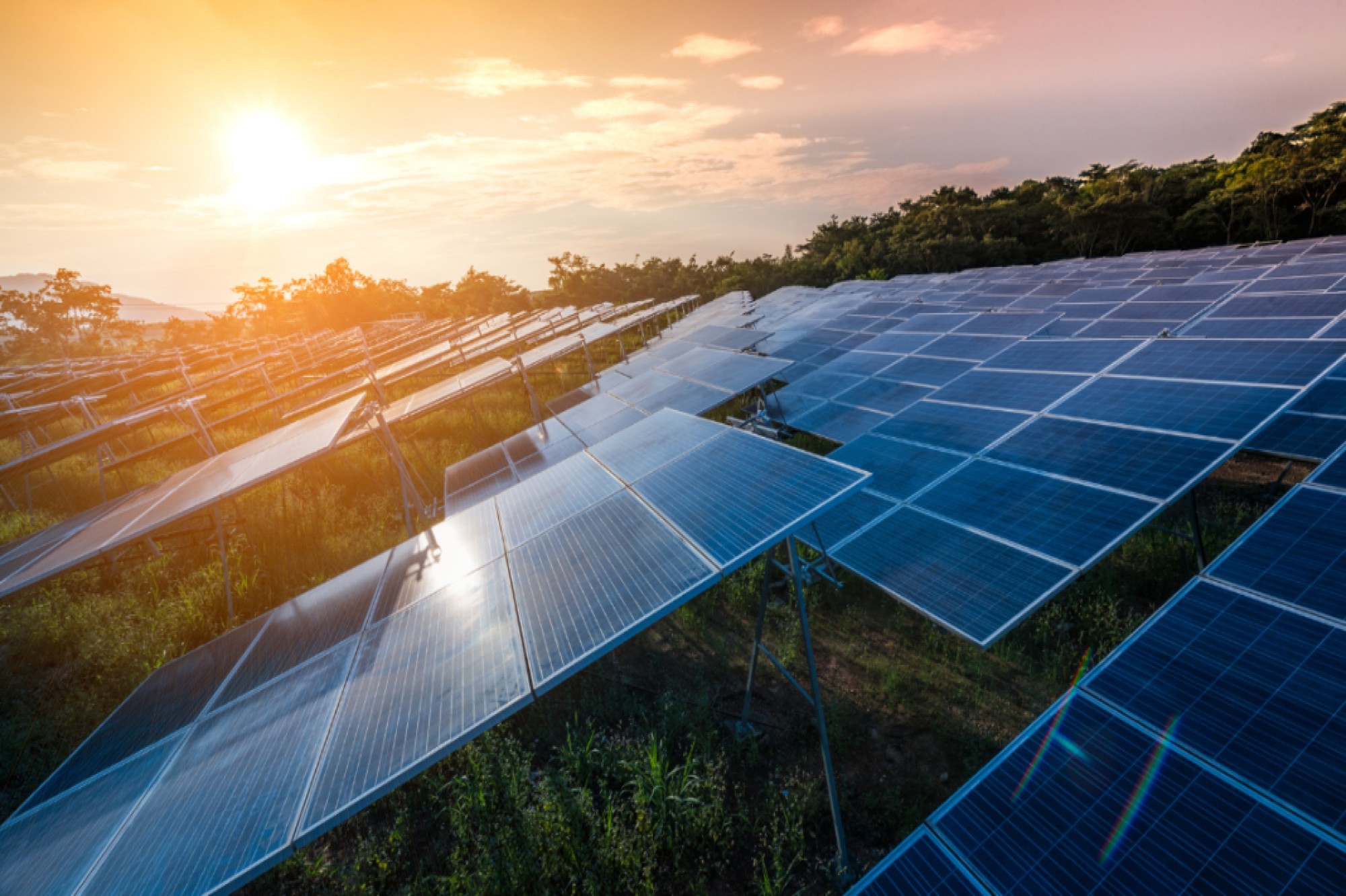 BluPine Energy announces  ₹376 cr financial closure for 100 MW solar power project