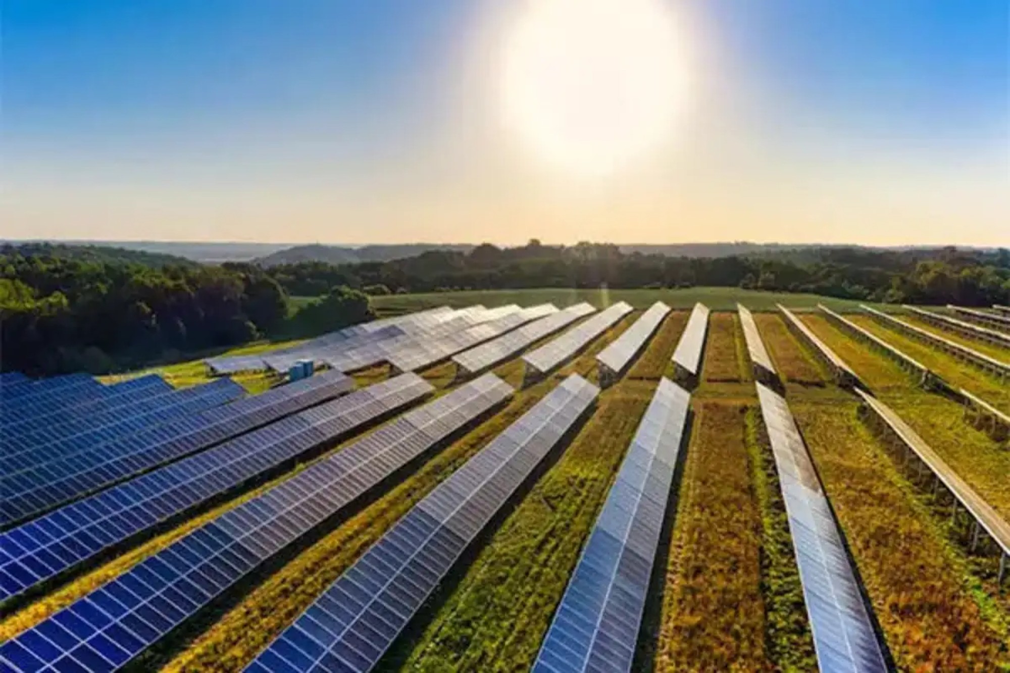 BluPine Energy marks 740,510 MWh of renewable generation avoiding 670,000 tonnes of CO₂e emissions