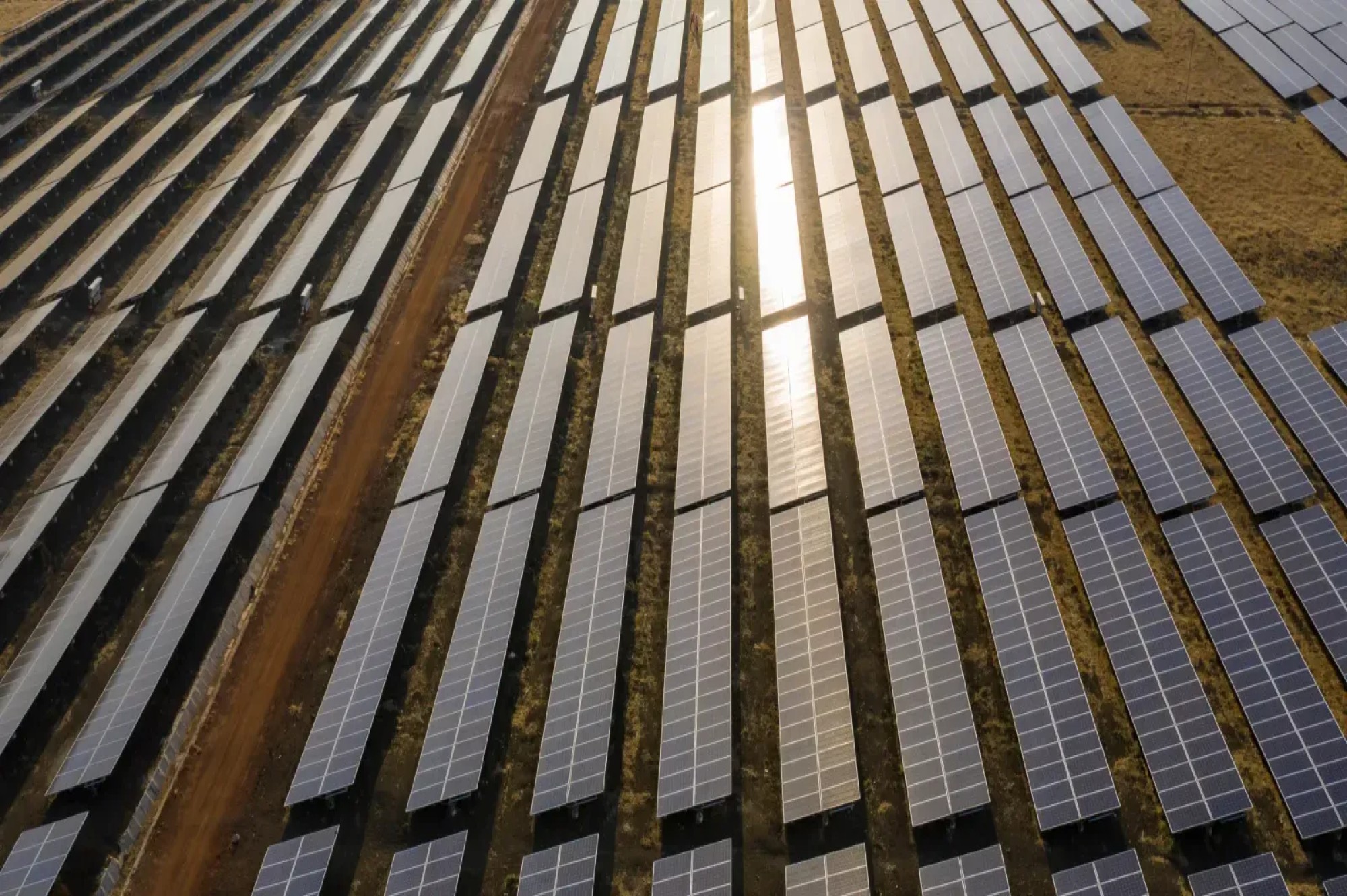 Amplus Solar rebrands to Gentari marking unified brand identity 