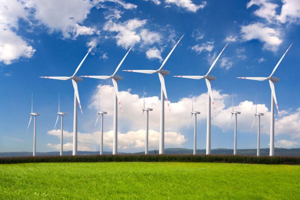 Indian wind industry reaffirms its commitment to the national RE goals