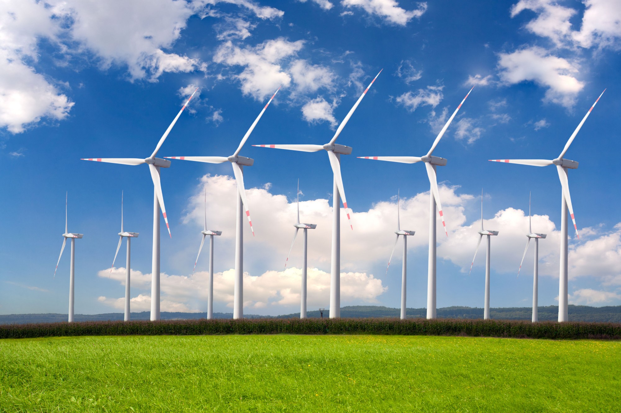 Indian wind industry reaffirms its commitment to the national RE goals
