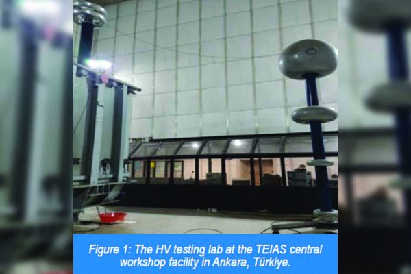 Verifying suspected insulation faults in power transformers