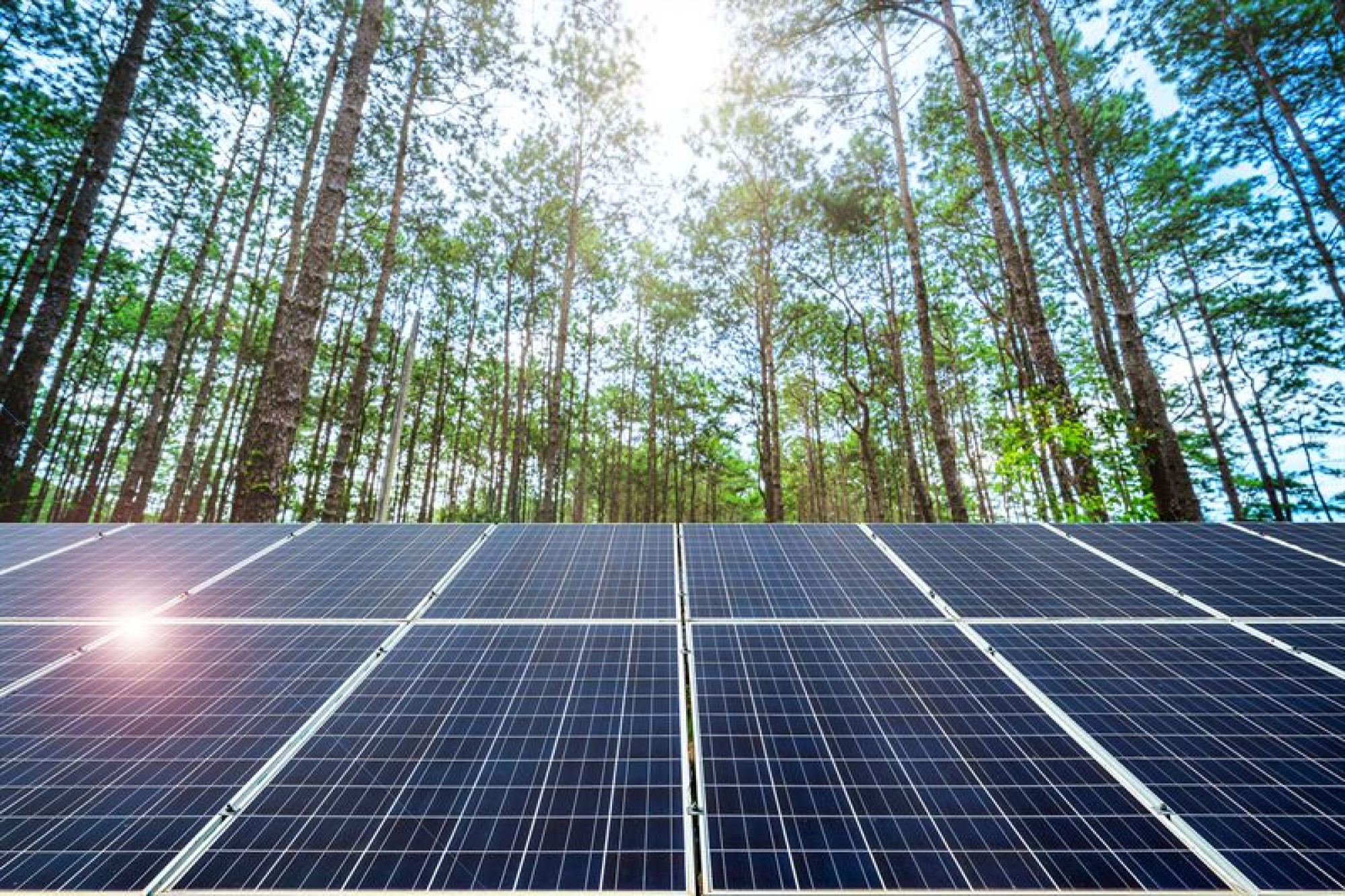 AB Energia pioneering renewable energy with cutting-edge innovation