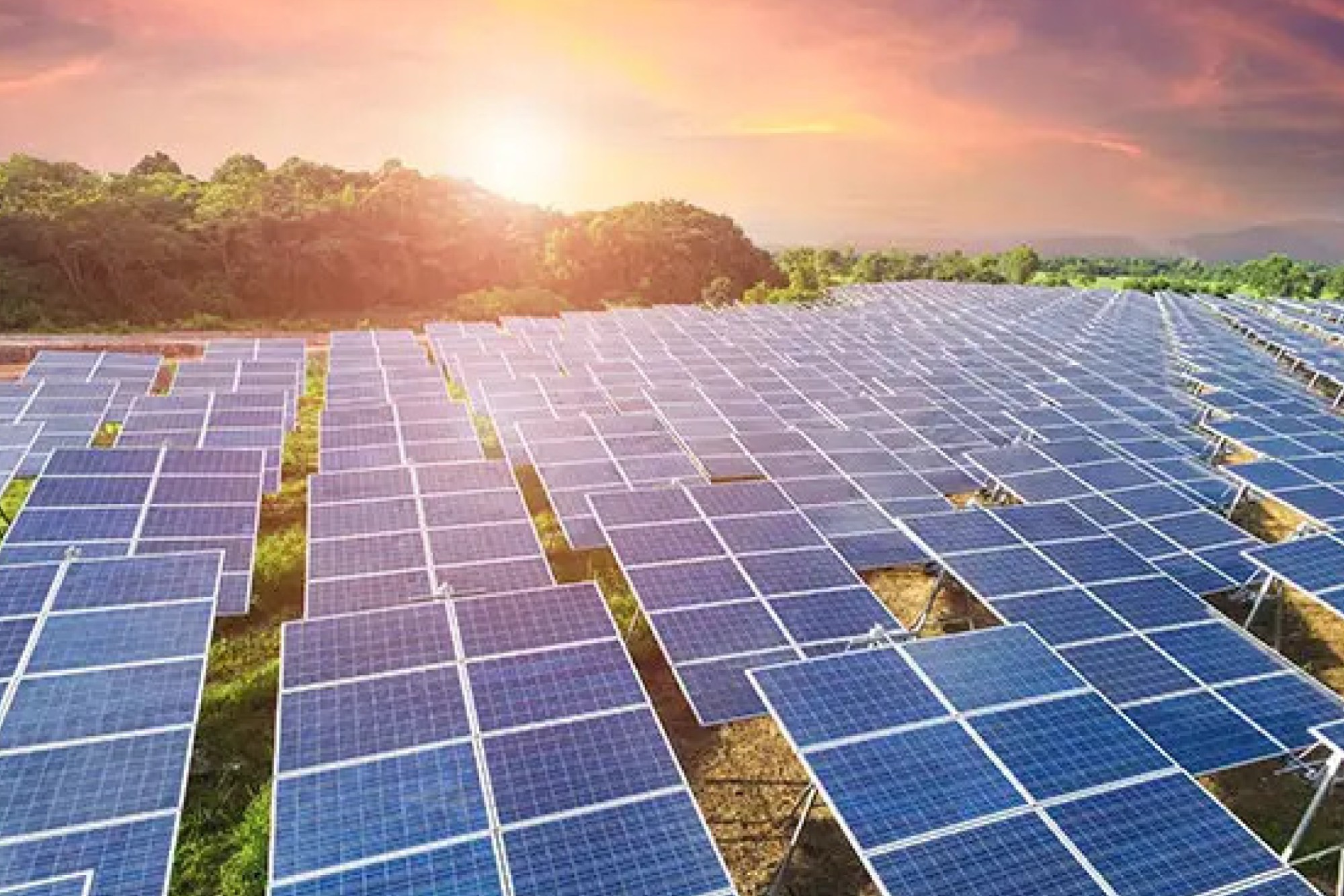 Emmvee secures ₹1500 cr order for bifacial solar modules