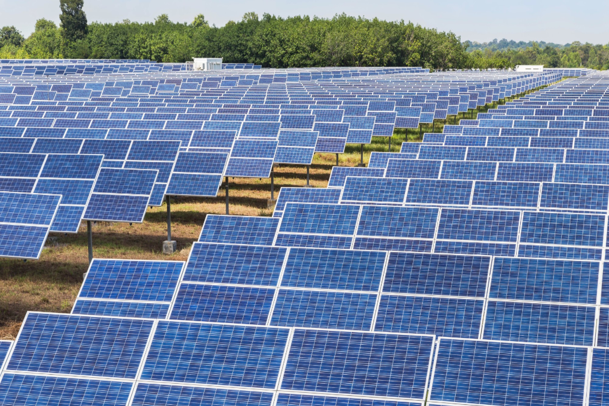 Waaree Solar Americas signs 586 MW module supply agreement with leading US IPP