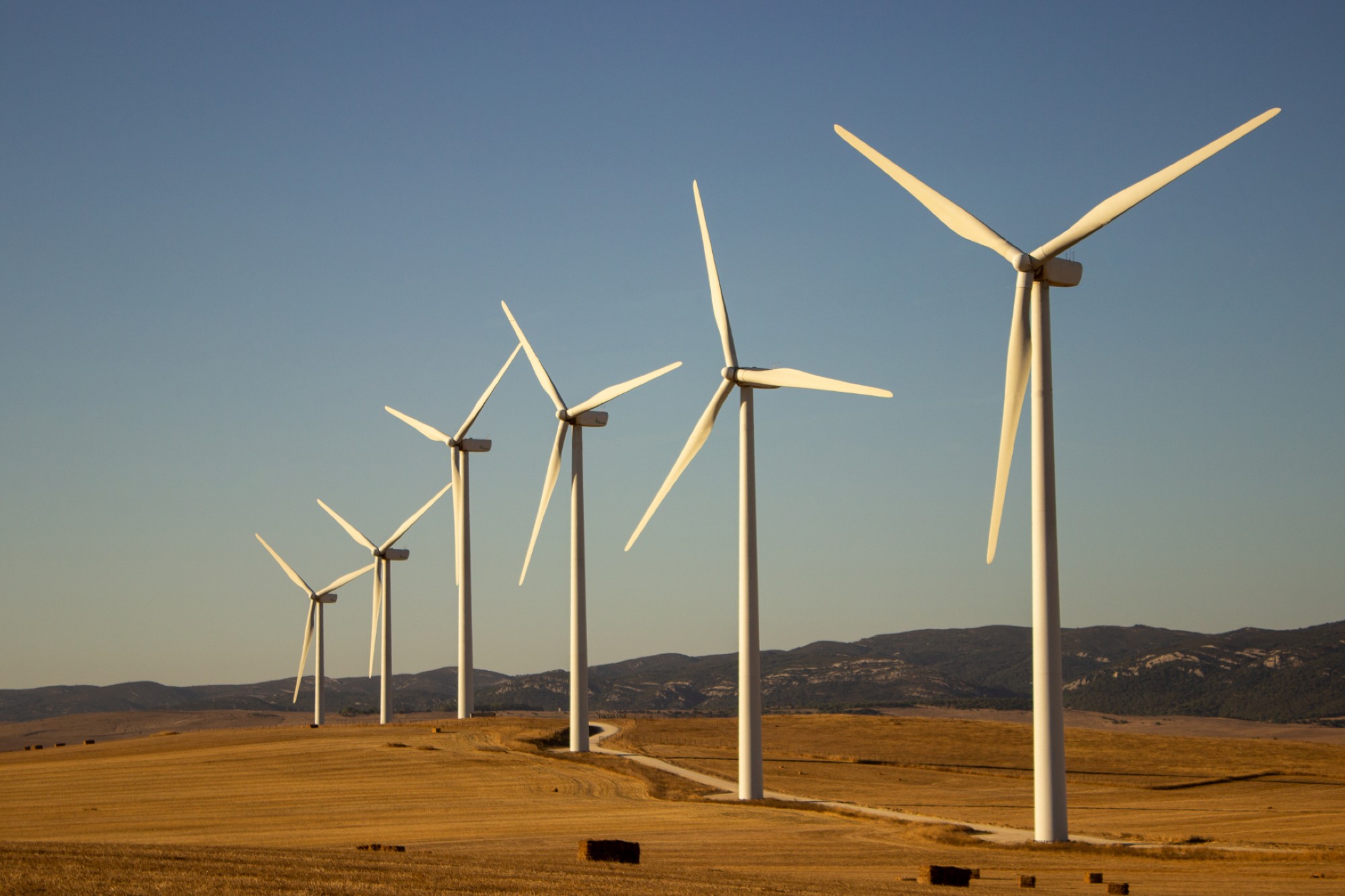 Gujarat leads wind power surge in India