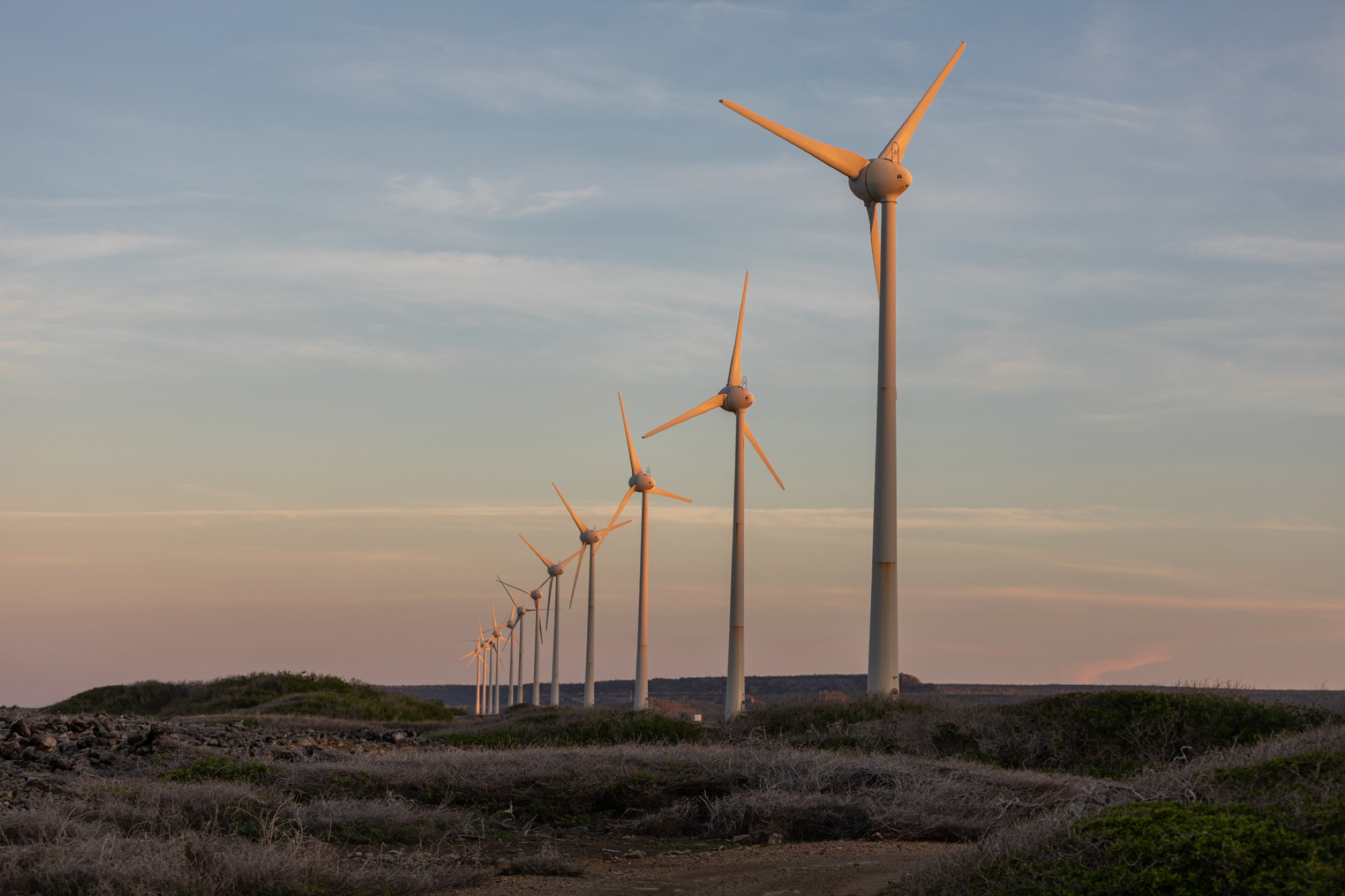 Juniper Green Energy signs 100 MW PPA with GUVNL
