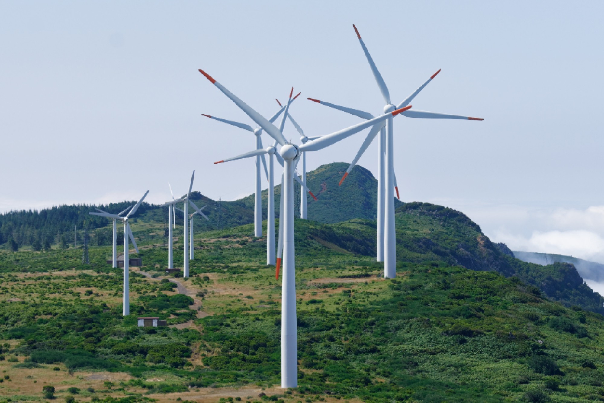 Serentica Renewables partners SANY Renewable to supply WTGs