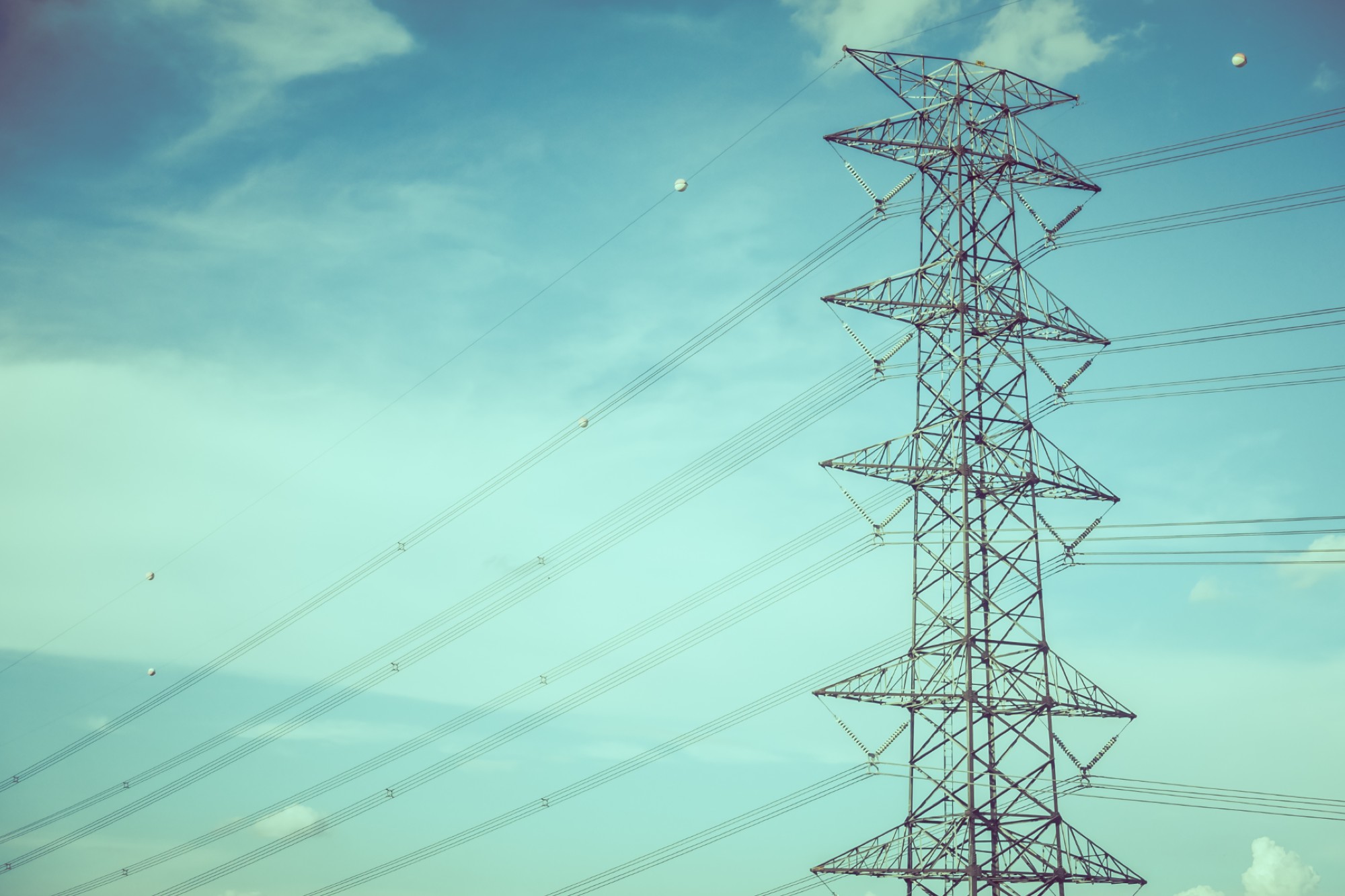 DPIL secures a ₹1,349 cr order from Adani Energy Solutions 