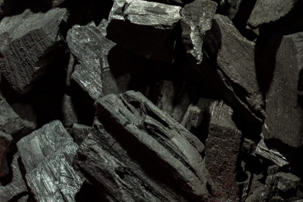 Coal Ministry secures ₹720 crore revenue with successful block auctions