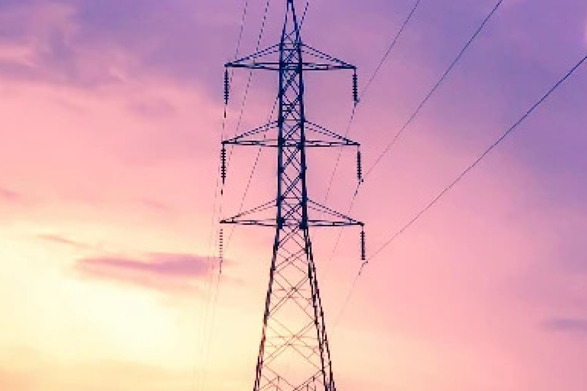 Sterlite Electric kickstarts FY26 with ₹1500 crore orders