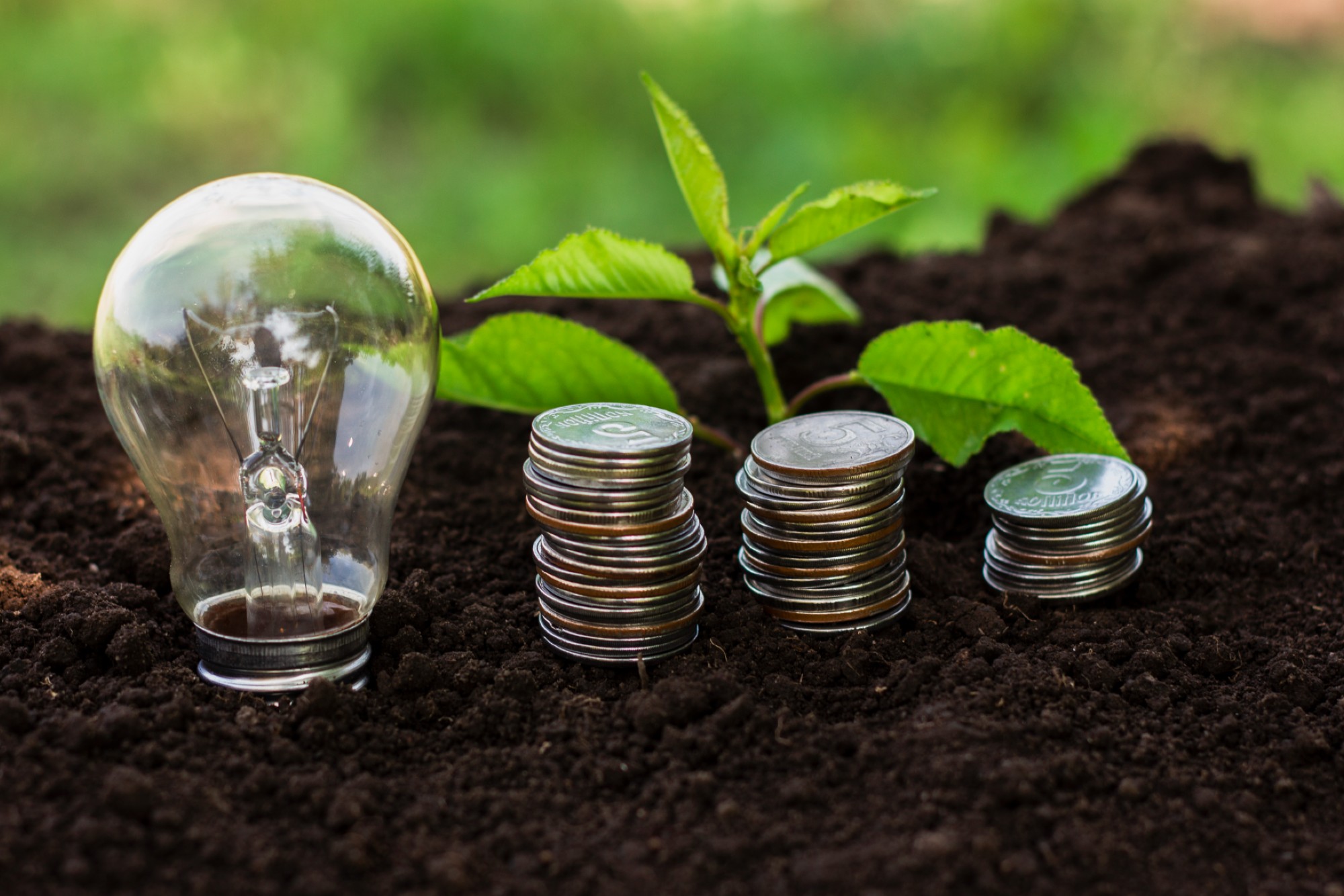 GST cuts power renewable energy growth