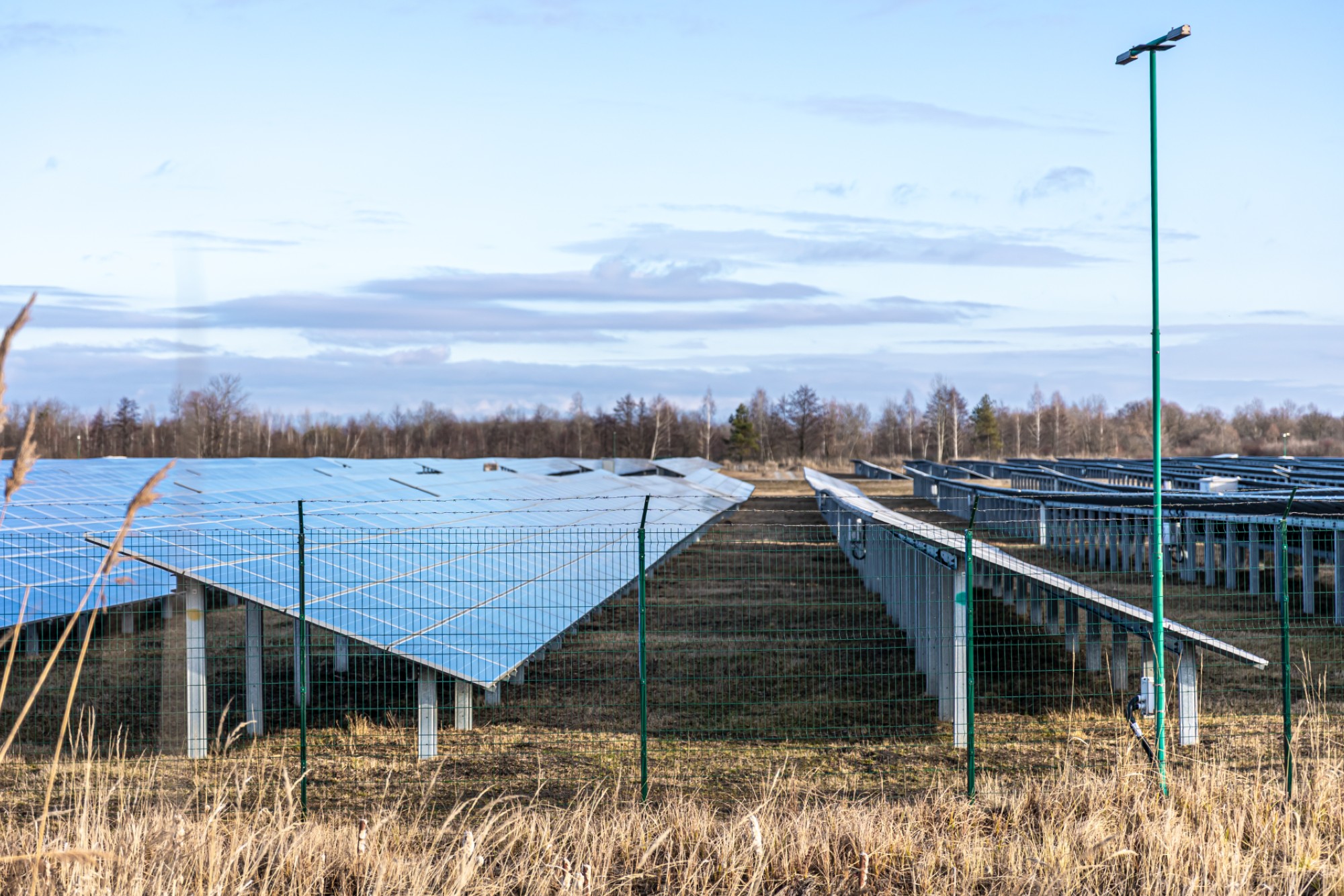 Saatvik Green Energy wins MSEDCL project for 1,500 solar pumps across Maharashtra