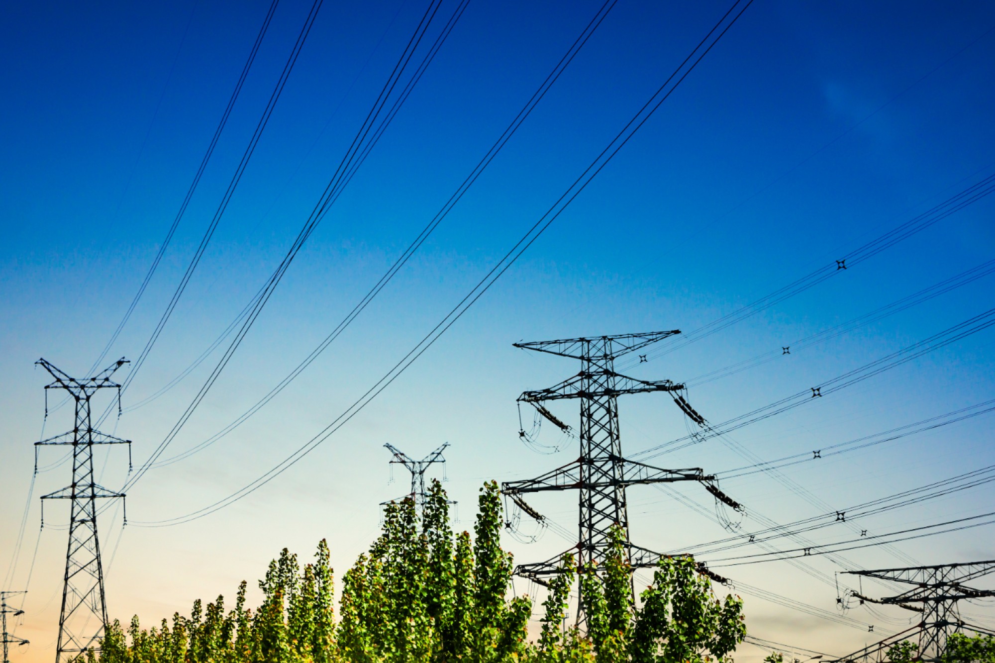 Rajesh Power Services inks ₹4,754 crore MoUs to strengthen power infrastructure in Gujarat